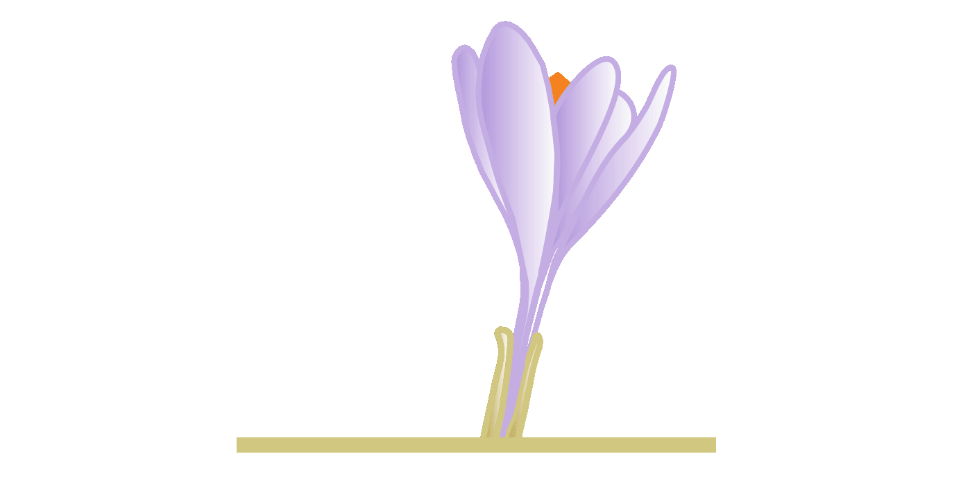 Babie Leto logo